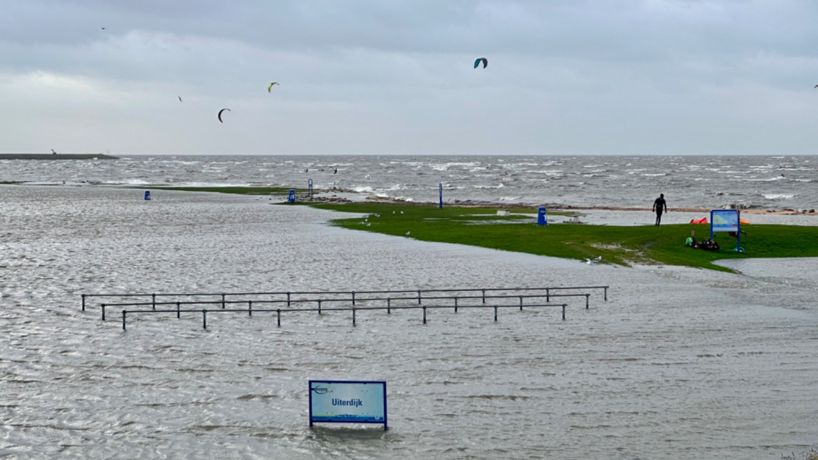 Schelpenstrand bij Schellinkhout onder water 