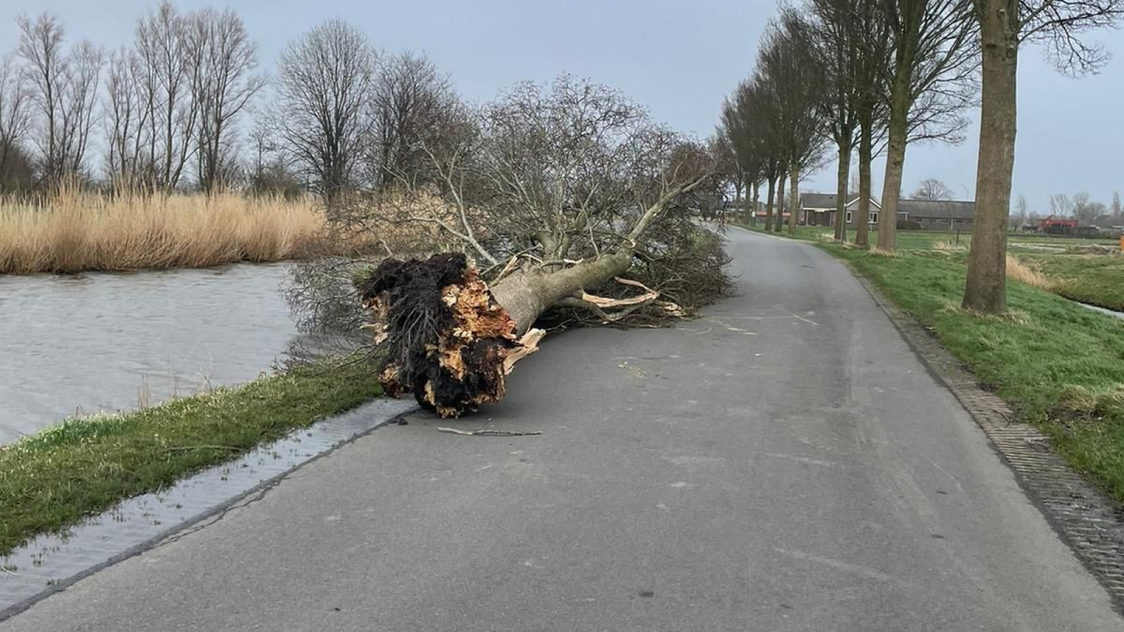 Omgevallen bomen West-Friesland