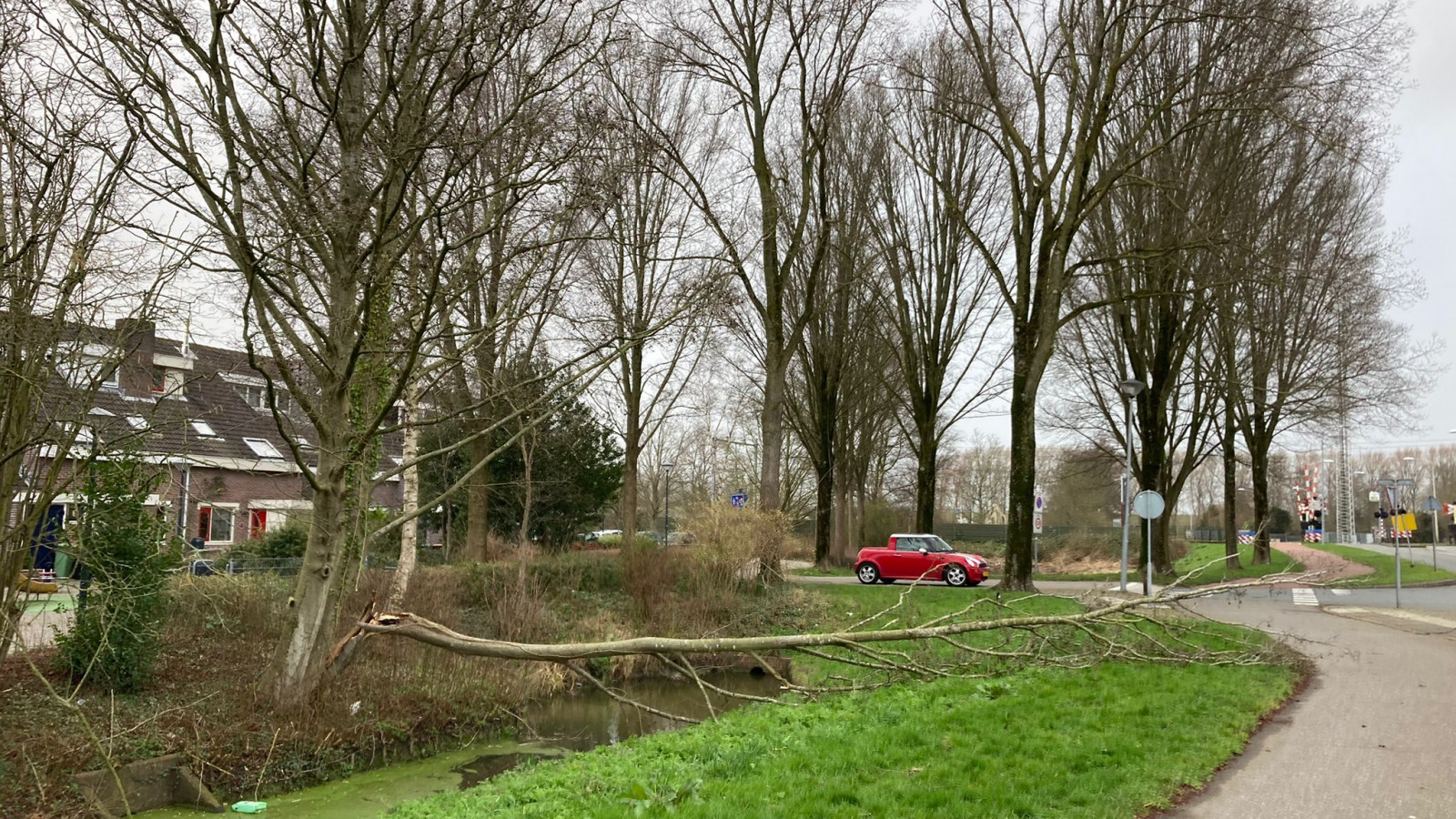 Omgevallen bomen West-Friesland