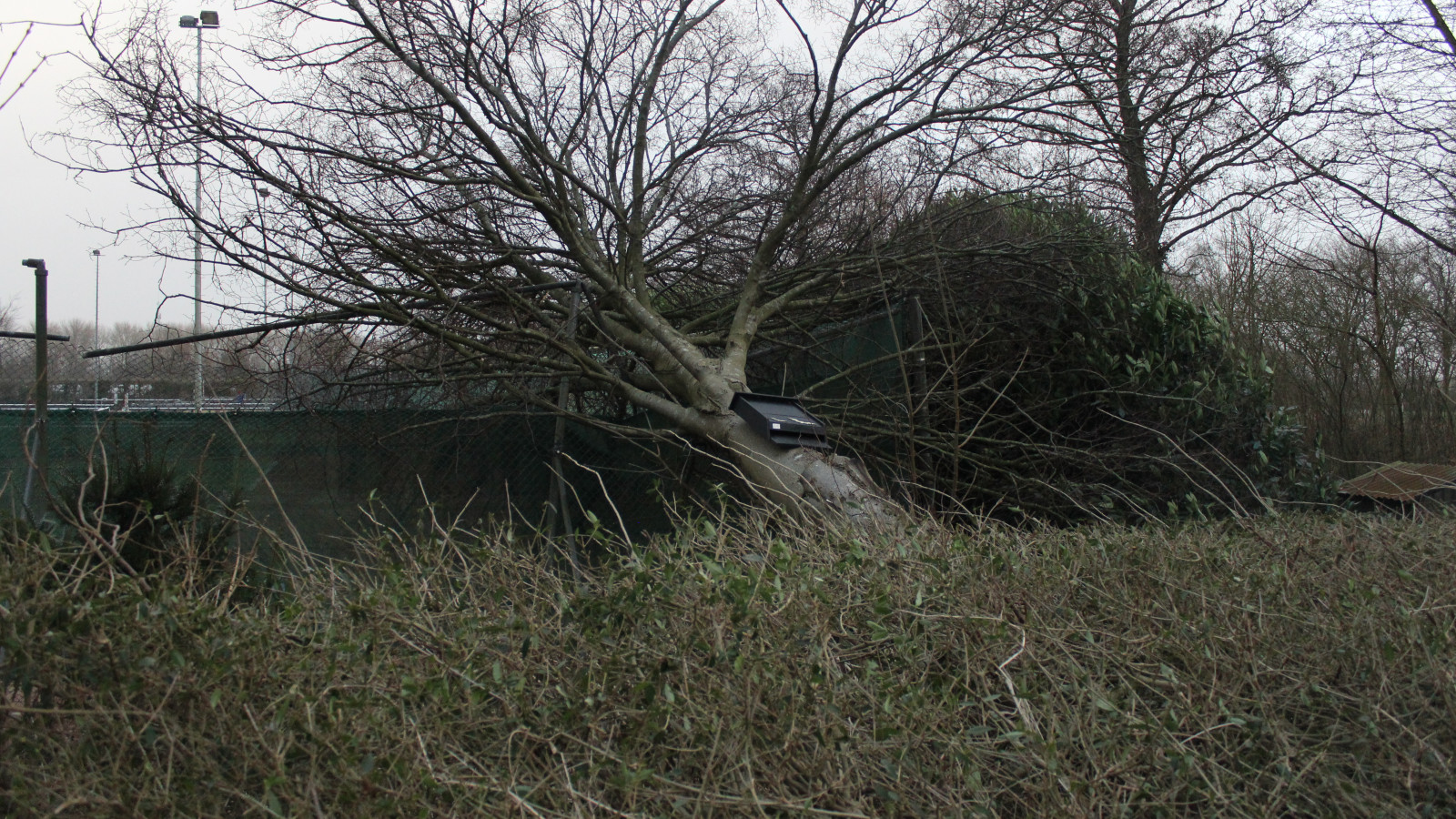 Stormschade Avenhorn