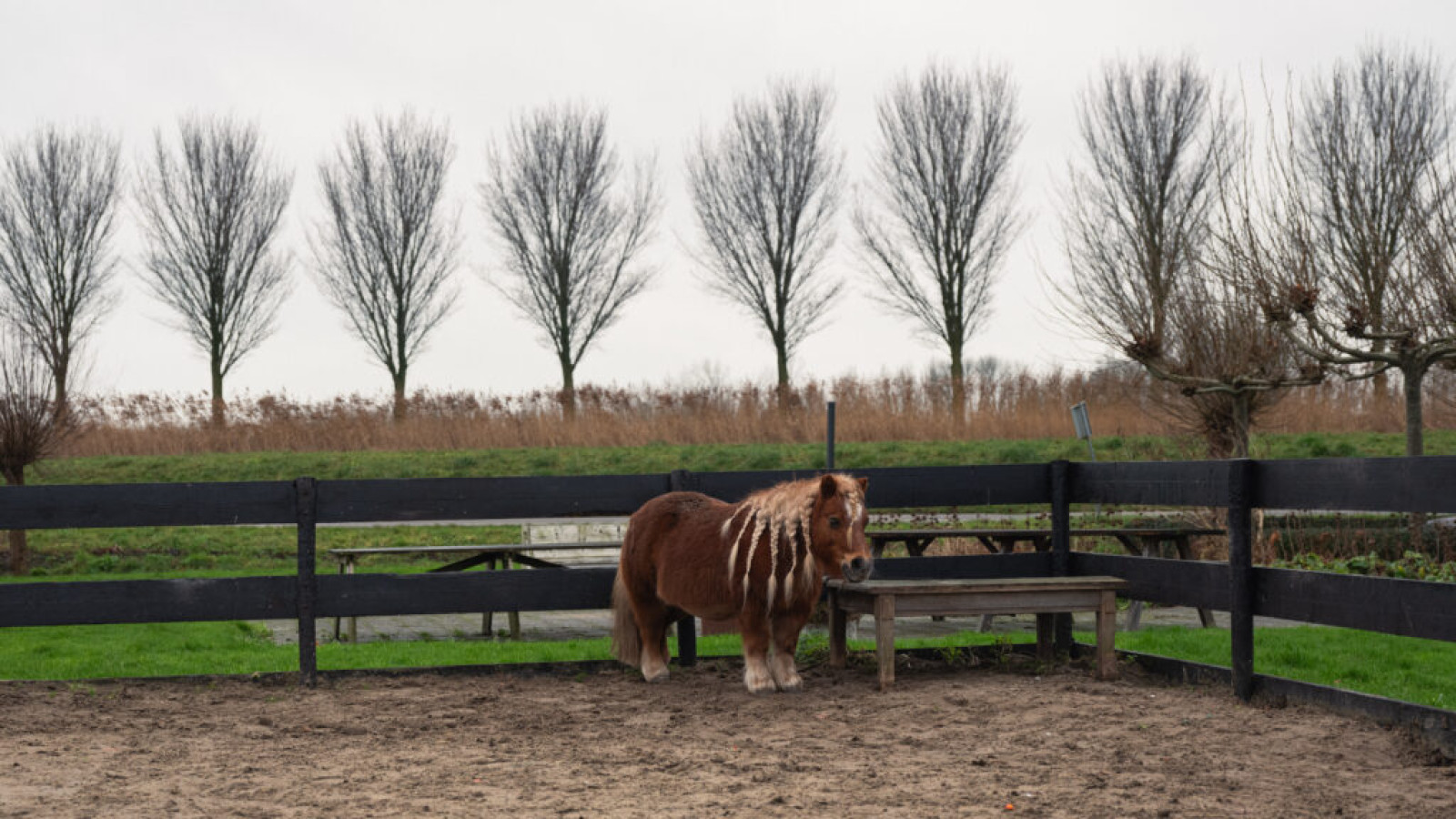 Tot in de Kern: De lievelingsplekken in Avenhorn / De Goorn van Karin & Adrie, Mariska en Koos