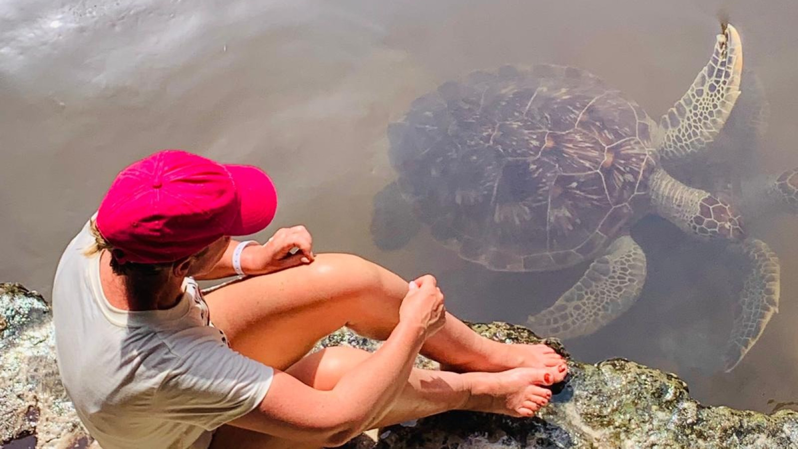 Marloes bij de schildpaddenopvang 