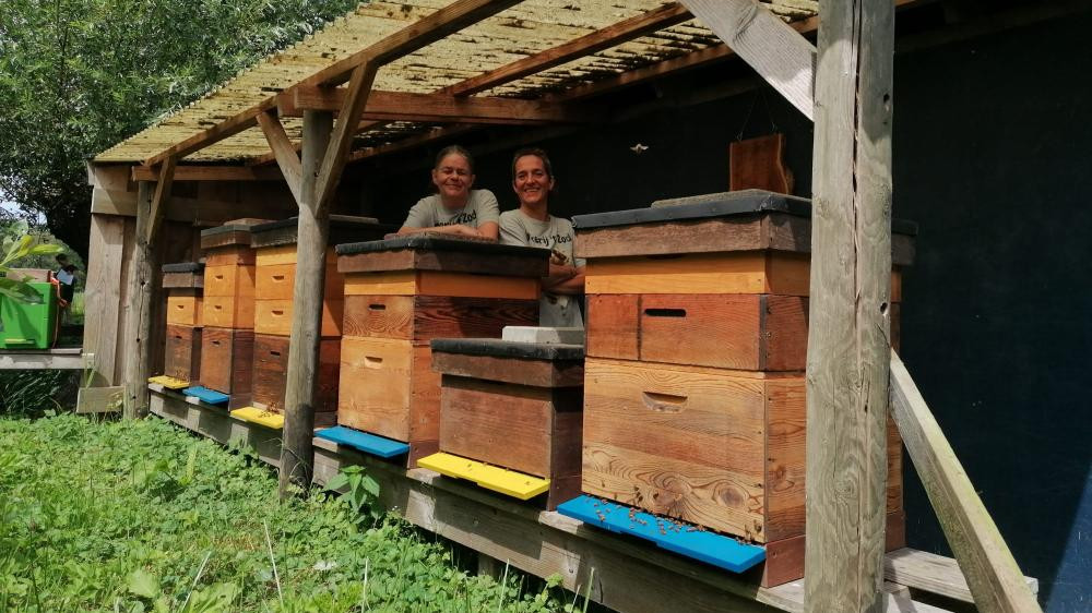 Open Imkerijdagen belicht de noodzaak van de bij