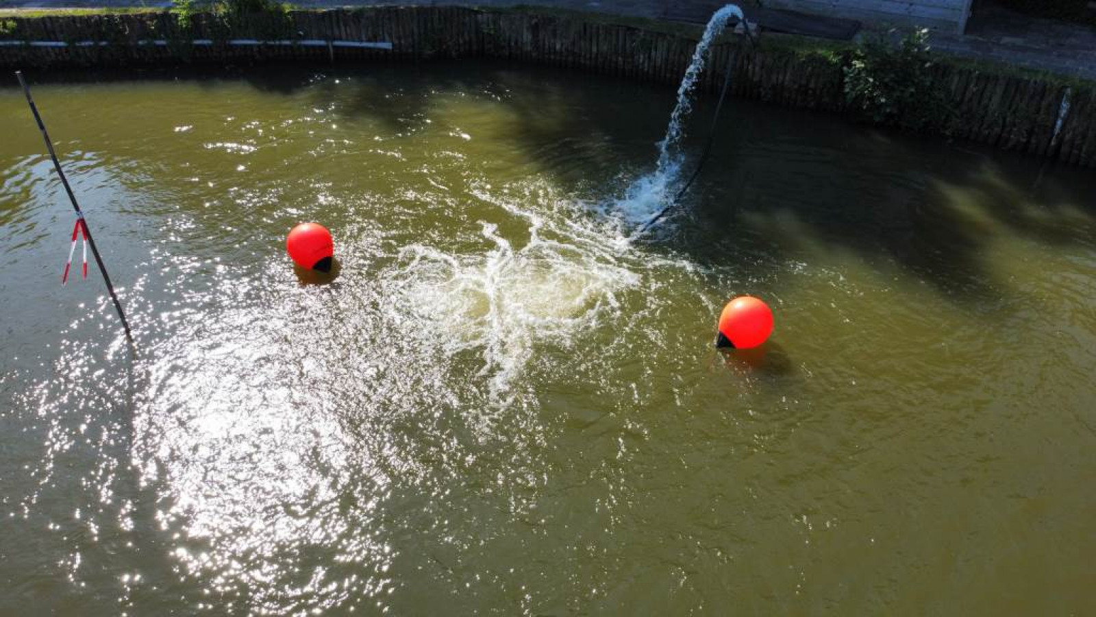 Dode vissen en waterpompen in Andijk